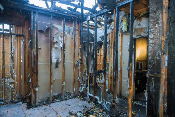 Professional Fire Damage Assessment technician working in Frankford, DE